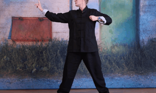 Videokursus – Bamai Qigong